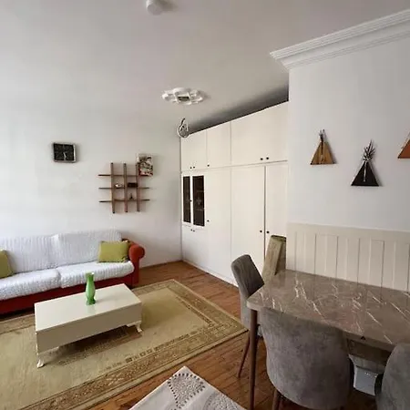 Apartamento Merkezde Genis Daire-large In Center *