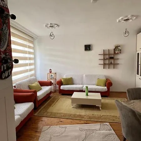 Apartamento Merkezde Genis Daire-large In Center *